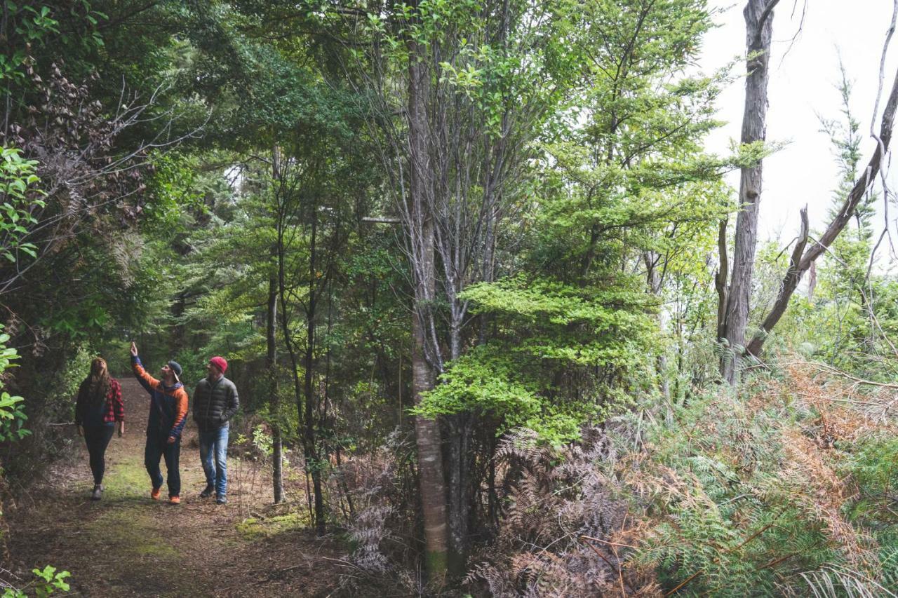 Lone Moose Backpackers Vandrarhem Te Anau Exteriör bild