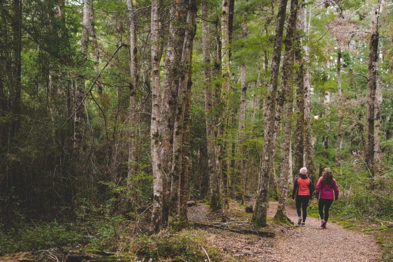 Lone Moose Backpackers Vandrarhem Te Anau Exteriör bild